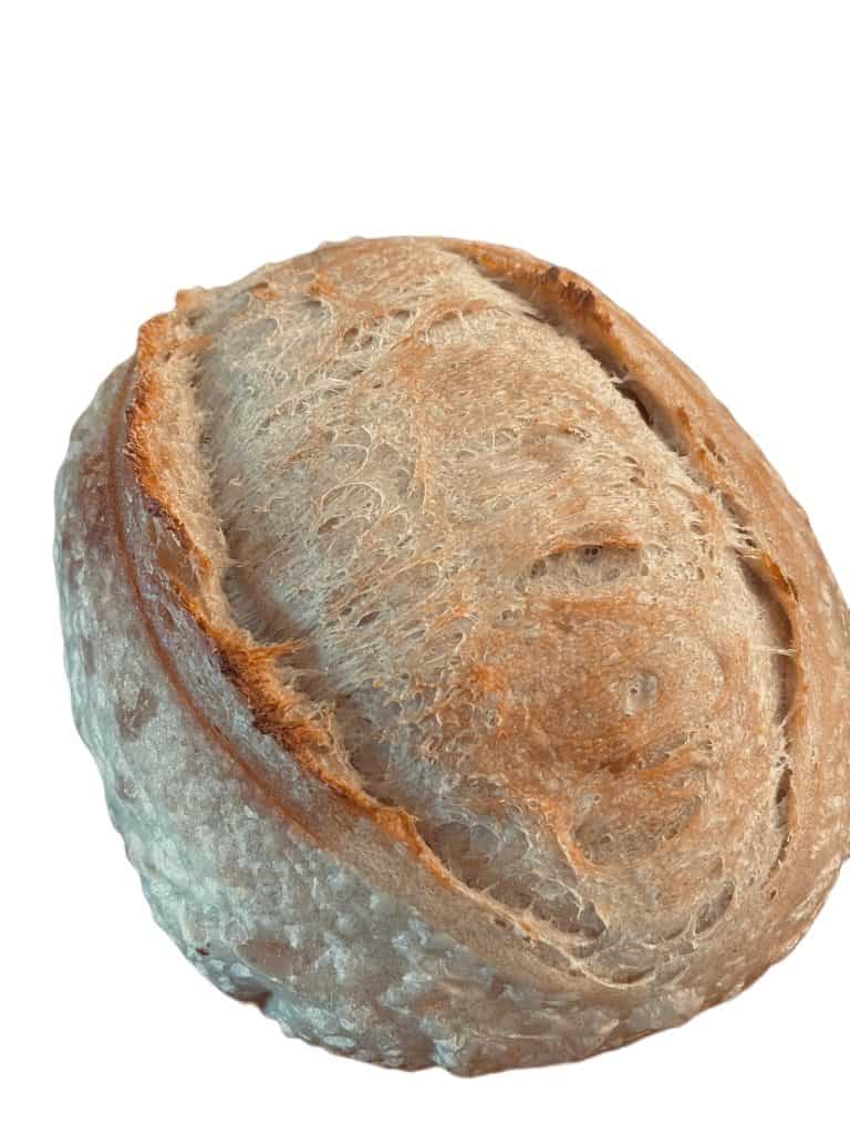 Plain Sourdough Loaf